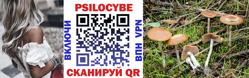 Купить где  Уварово  Галлюциногенные грибы GOLDEN TEACHER 